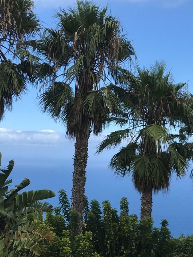 Playa Bonita Daire Caleta de Interián Dış mekan fotoğraf
